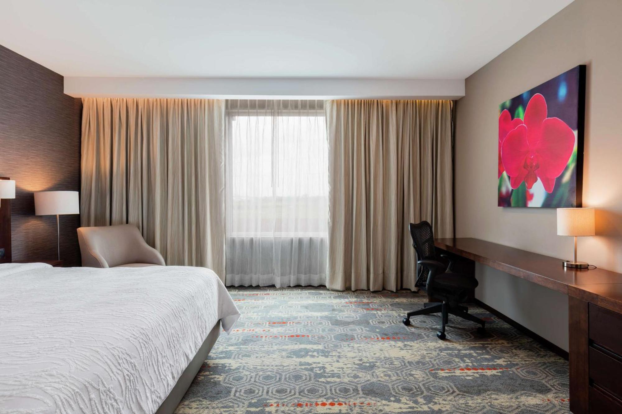 Hilton Garden Inn סלמנקה מראה חיצוני תמונה